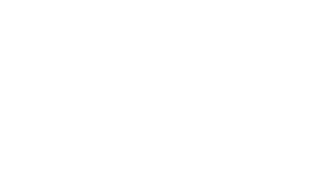 Steel Frame, la nueva vedette del Procrear